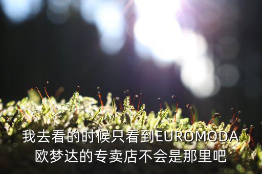 我去看的時候只看到EUROMODA歐夢達的專賣店不會是那里吧