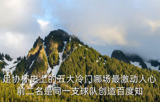 足協杯賽，足協杯是什么意思
