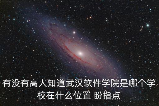 有沒有高人知道武漢軟件學院是哪個學校在什么位置 盼指點
