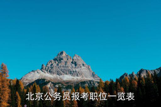 北京公務員報考職位一覽表