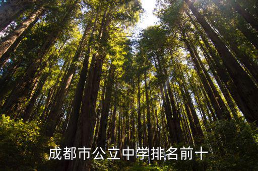 成都市公立中學排名前十