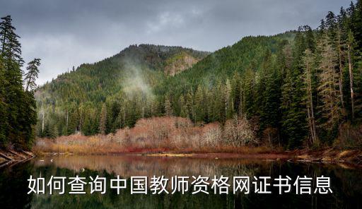 如何查詢中國教師資格網證書信息