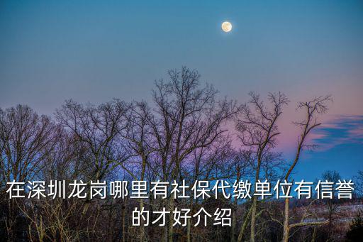 在深圳龍崗哪里有社保代繳單位有信譽(yù)的才好介紹