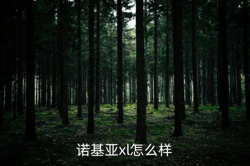 諾基亞xl怎么樣