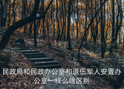 民政局和民政辦公室和退伍軍人安置辦公室一樣么啥區(qū)別