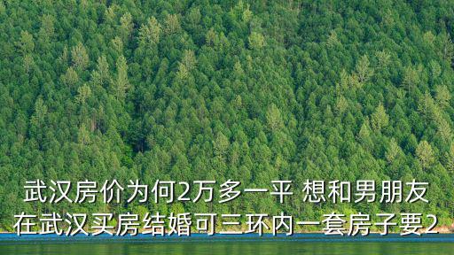 武漢房價為何2萬多一平 想和男朋友在武漢買房結婚可三環內一套房子要2