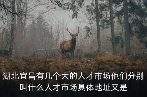 湖北宜昌有幾個(gè)大的人才市場他們分別叫什么人才市場具體地址又是