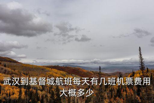 武漢到基督城航班每天有幾班機(jī)票費(fèi)用大概多少