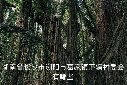 葛家鎮(zhèn)，去威海文登葛家鎮(zhèn)路上走不走青島