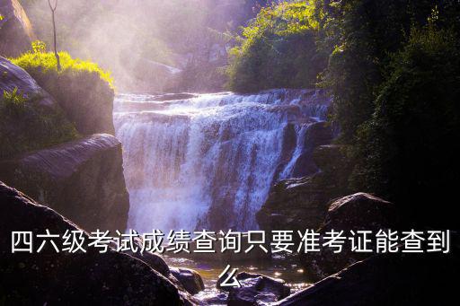 四六級考試成績查詢只要準考證能查到么