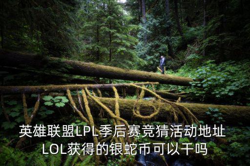 英雄聯盟LPL季后賽競猜活動地址 LOL獲得的銀蛇幣可以干嗎