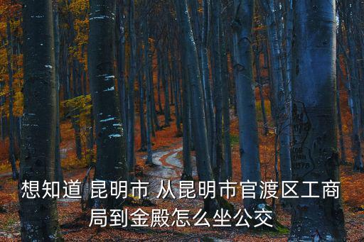 想知道 昆明市 從昆明市官渡區(qū)工商局到金殿怎么坐公交