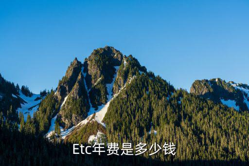 Etc年費是多少錢