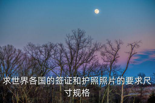 求世界各國的簽證和護照照片的要求尺寸規格