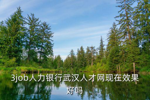 3job人力銀行武漢人才網現在效果好嗎
