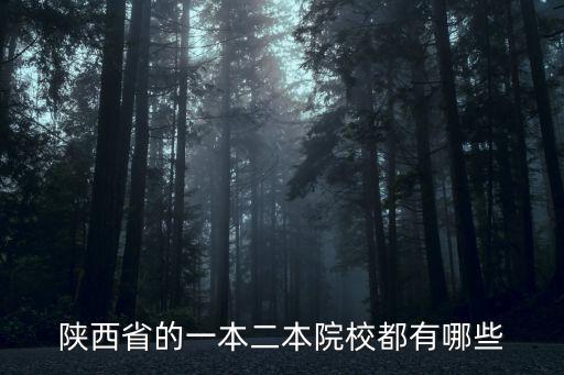陜西省的一本二本院校都有哪些