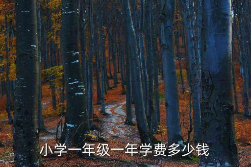 小學一年級一年學費多少錢