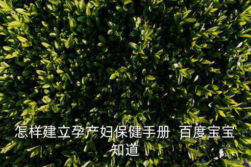 孕產(chǎn)婦保健手冊，怎樣建立孕產(chǎn)婦保健手冊  百度寶寶知道