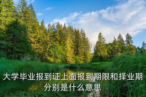 大學畢業報到證上面報到期限和擇業期分別是什么意思