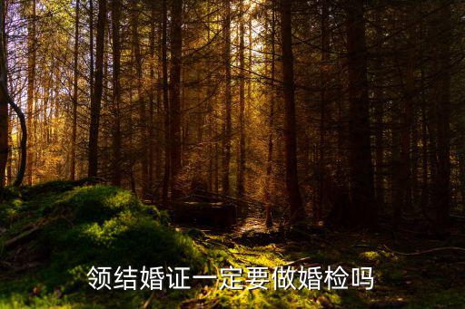 領結婚證一定要做婚檢嗎