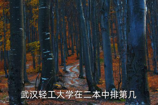武漢輕工大學在二本中排第幾
