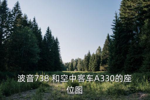 波音738 和空中客車A330的座位圖