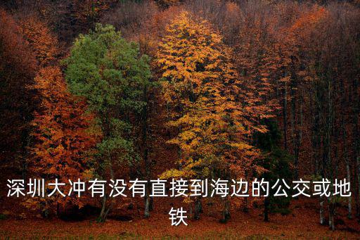 深圳大沖有沒(méi)有直接到海邊的公交或地鐵