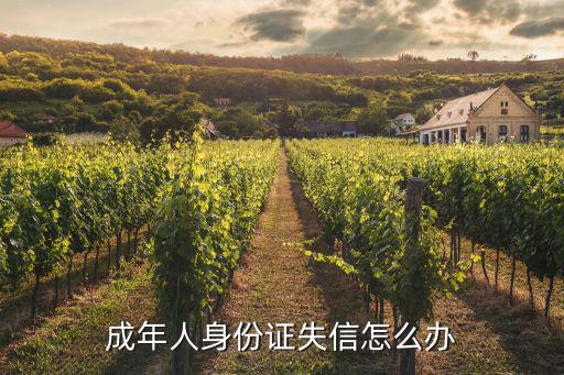 成年人身份證失信怎么辦