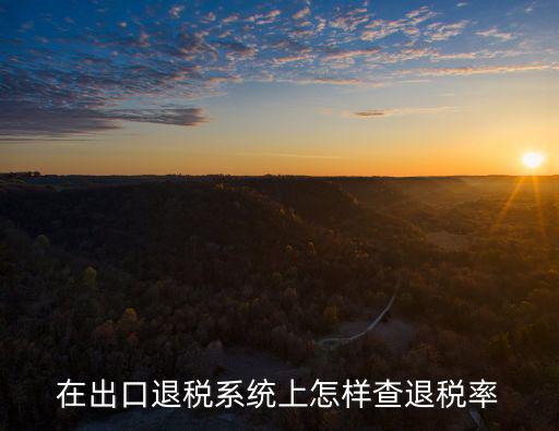 在出口退稅系統(tǒng)上怎樣查退稅率
