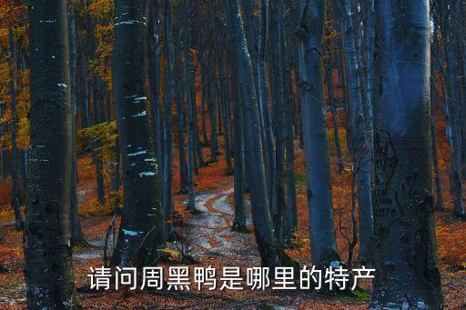 請問周黑鴨是哪里的特產