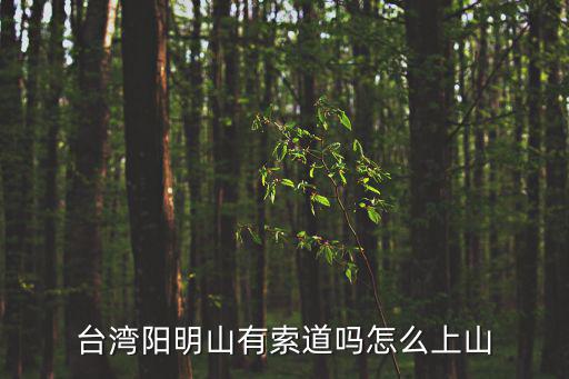 臺灣陽明山有索道嗎怎么上山