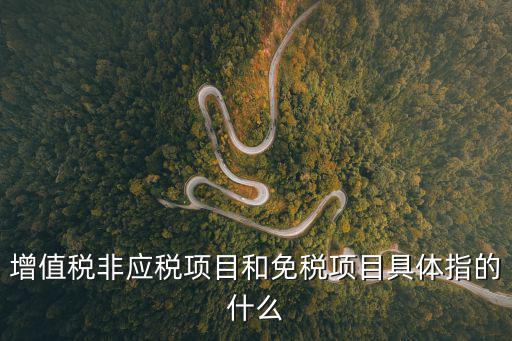 增值稅非應(yīng)稅項目和免稅項目具體指的什么