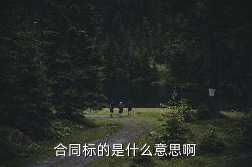 合同標的是什么意思啊