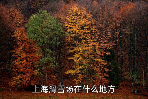 上海滑雪場在什么地方