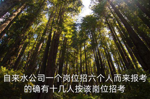 自來水公司一個崗位招六個人而來報(bào)考的確有十幾人按該崗位招考