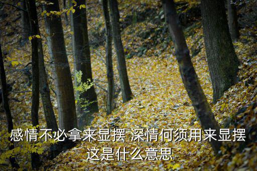 顯擺網(wǎng)，扣扣號升級有何用