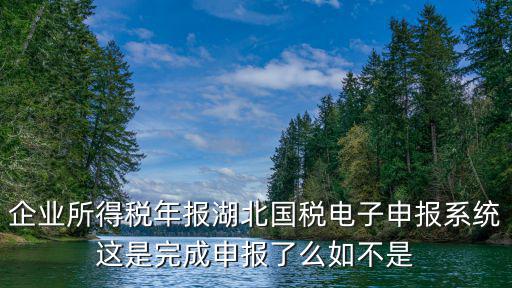企業(yè)所得稅年報(bào)湖北國稅電子申報(bào)系統(tǒng)這是完成申報(bào)了么如不是