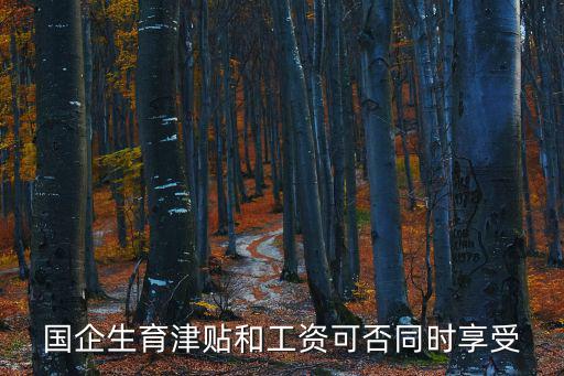 國企生育津貼和工資可否同時享受