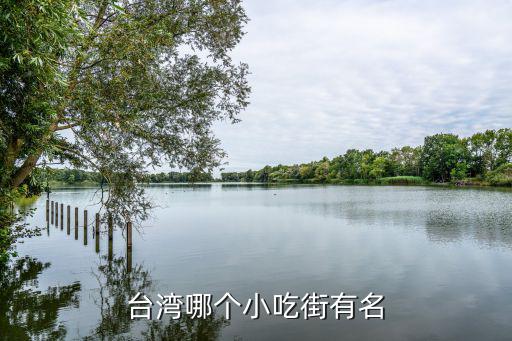 臺灣哪個小吃街有名