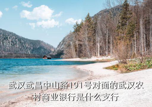 武漢武昌中山路191號(hào)對(duì)面的武漢農(nóng)村商業(yè)銀行是什么支行