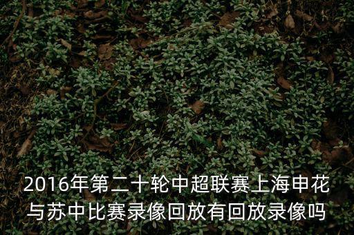 中超錄像回放，2016年第二十輪中超聯(lián)賽上海申花與蘇中比賽錄像回放有回放錄像嗎