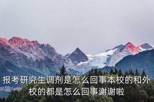 報(bào)考研究生調(diào)劑是怎么回事本校的和外校的都是怎么回事謝謝啦
