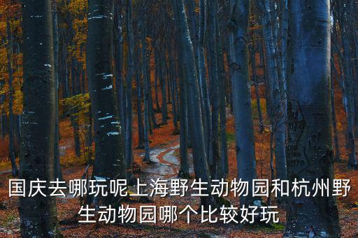 國慶去哪玩，國慶節(jié)大家一般都到哪里去玩