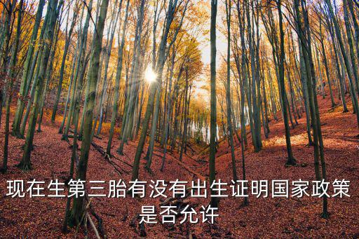 現在生第三胎有沒有出生證明國家政策是否允許