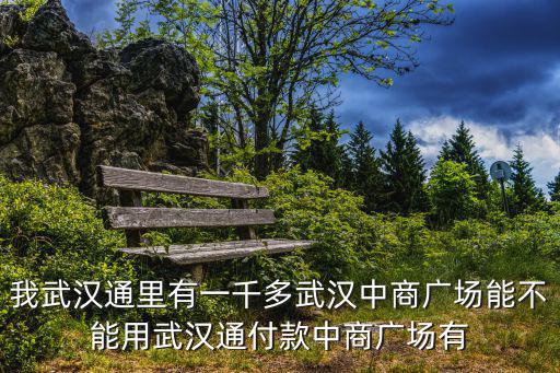 我武漢通里有一千多武漢中商廣場能不能用武漢通付款中商廣場有