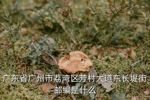 廣東省廣州市荔灣區(qū)芳村大道東長堤街郵編是什么