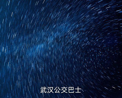 武漢公交巴士