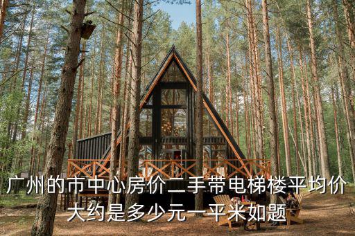 廣州的市中心房?jī)r(jià)二手帶電梯樓平均價(jià)大約是多少元一平米如題