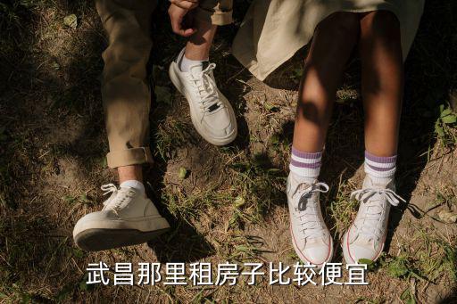 武昌那里租房子比較便宜