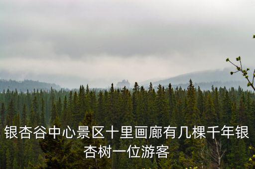 銀杏谷中心景區十里畫廊有幾棵千年銀杏樹一位游客